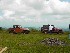 On Flagpole Knob